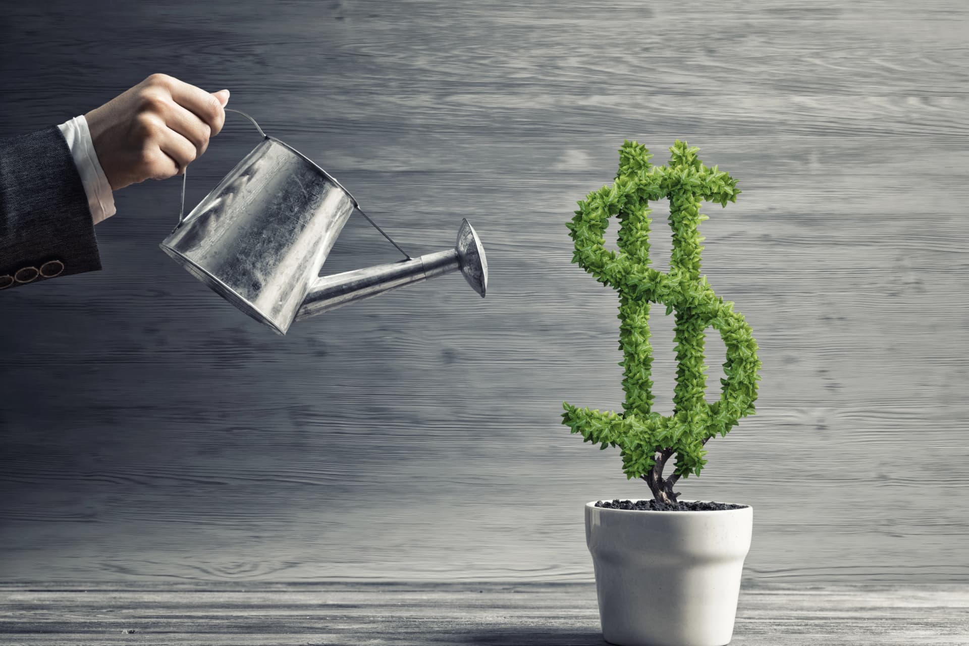Businessperson watering a bonsai tree shaped like a green dollar bill, symbolizing growth and strategic management of business debt for Canadian companies.